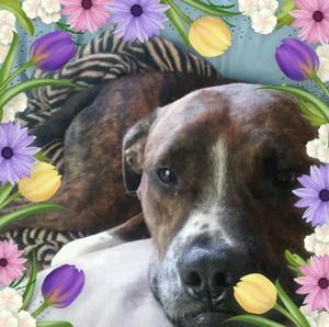 Meet your Posher, Linda